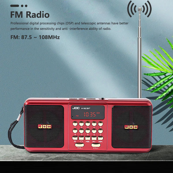 Portable Stereo FM Radio with Rechargeable Battery